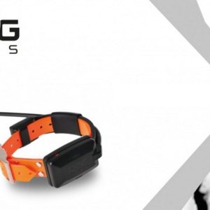 collare gps cane