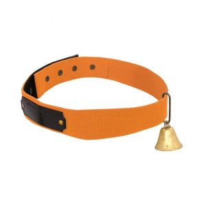 collari per cani da caccia
