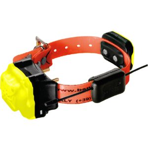 collari per cani da caccia