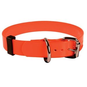collari per cani da caccia