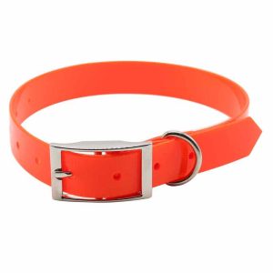 collari per cani da caccia